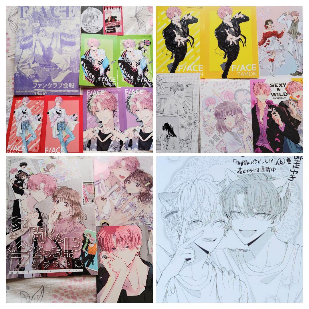 多聞くん今どっち 師走ゆき カード ポストカード 花とゆめ イラスト集