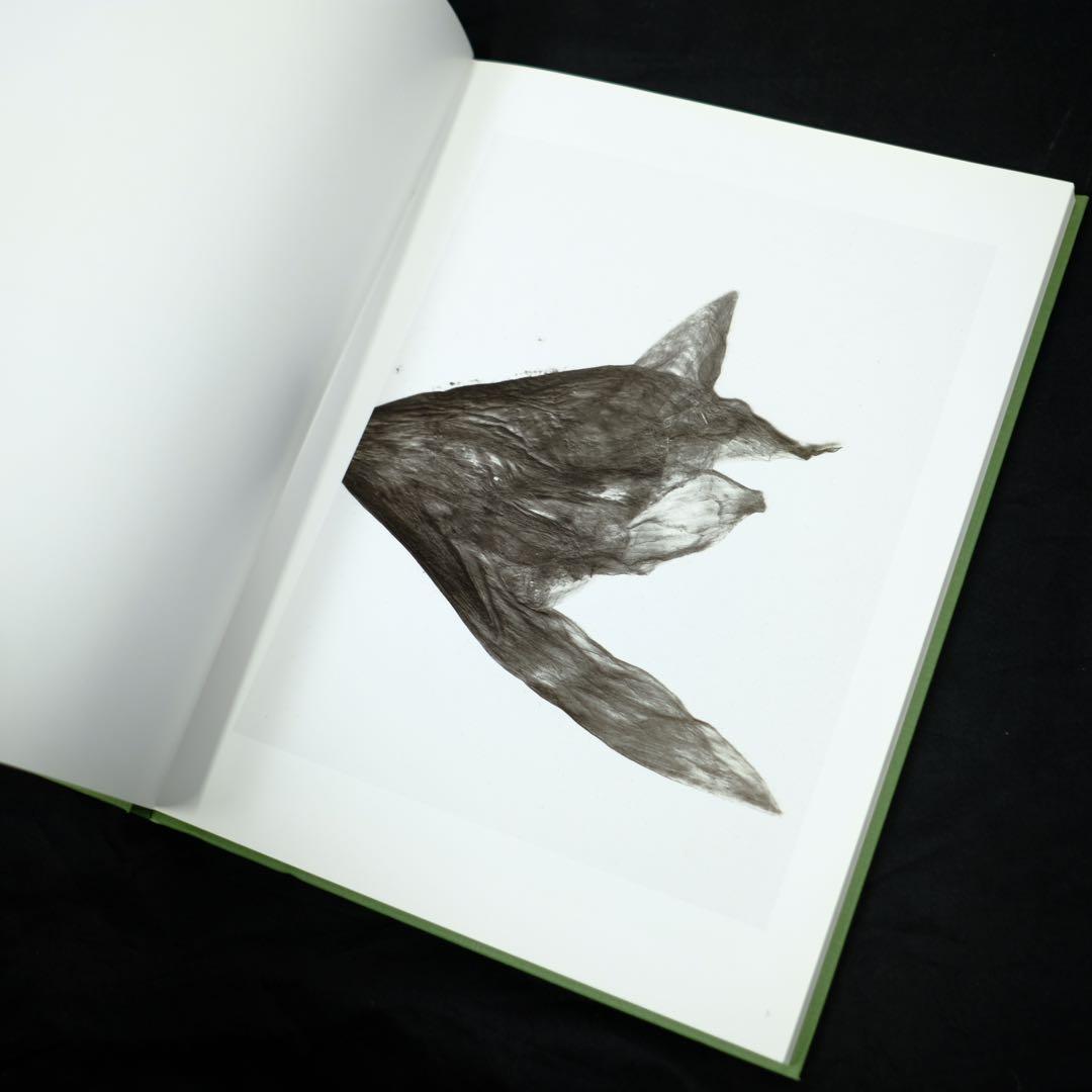 terri weifenbach the may sun 写真集　初版