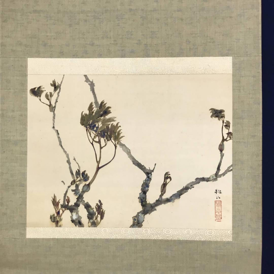 真作】藤井松山/芽牡丹図/牡丹図/花図/横物/掛軸☆宝船