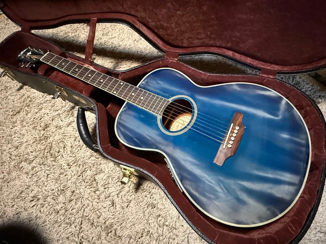 Martin & Co. 黒いレザーギターケース - ギターオンライン で 販売