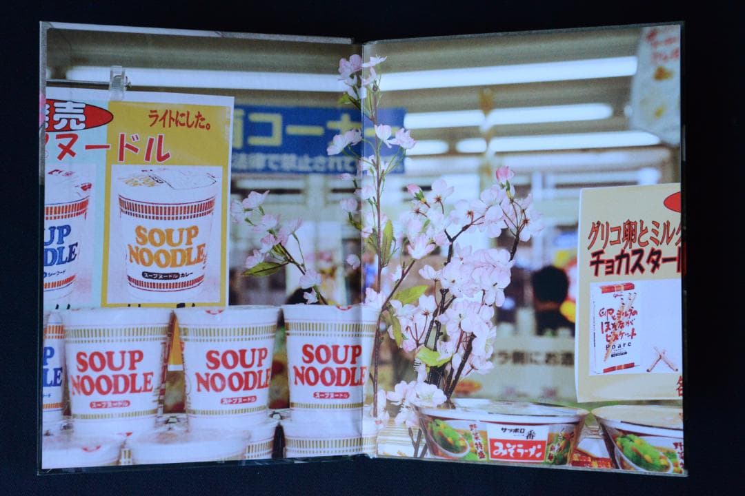 Martim Parr：JAPAN】マーティン・パー ・新品・500部限定 - アート