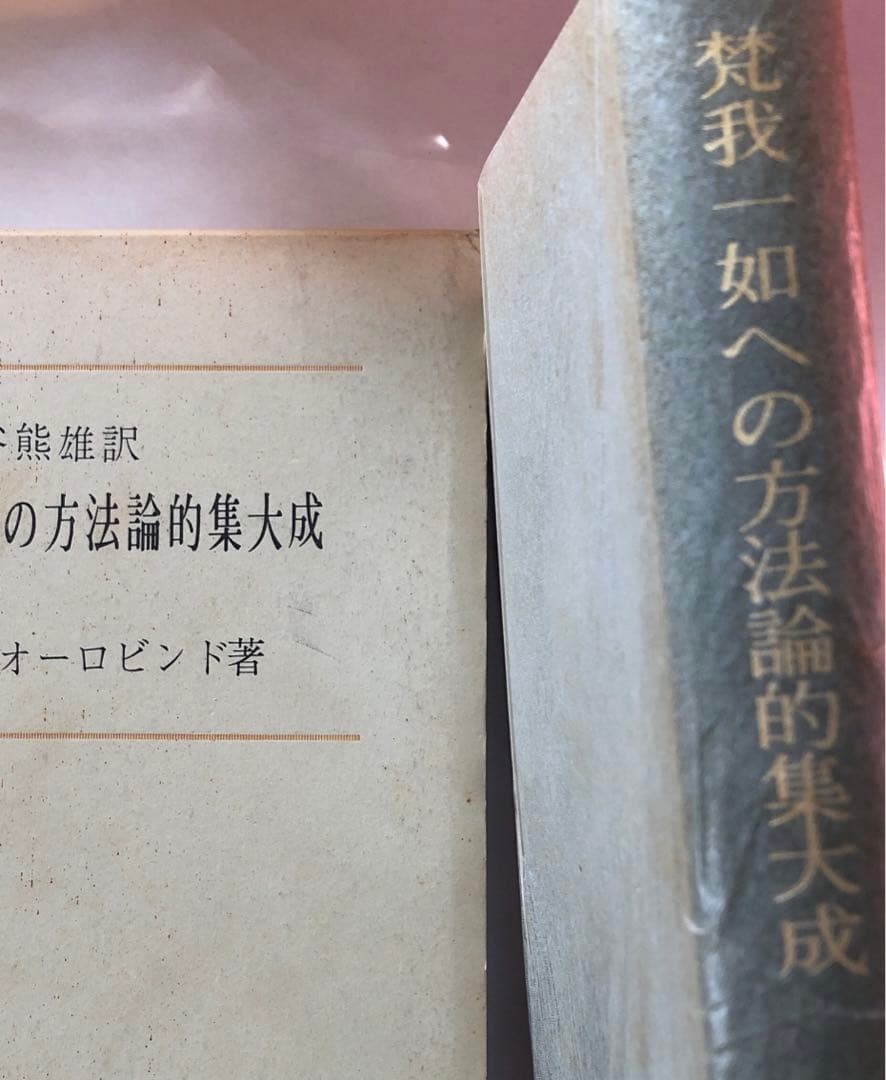 梵我一如への方法論的集大成　シュリ・オーロビンド著