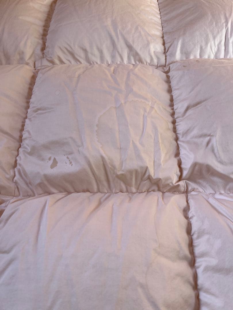 あ*☆様 羽毛布団 150×210 ダウン95% フェザー5% ホワイトグース1の
