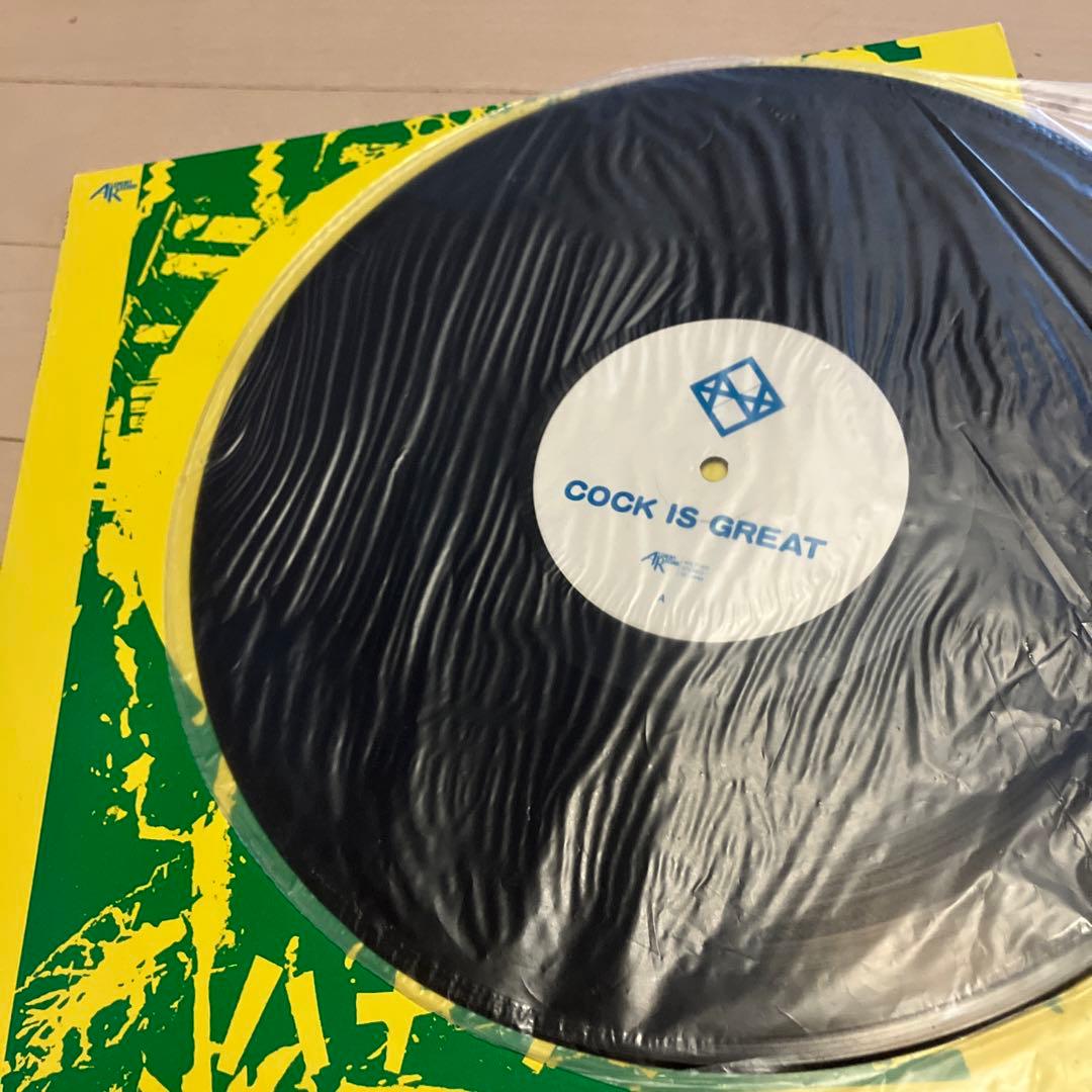 希少 美品 Hanatarashi ハナタラシ レコード