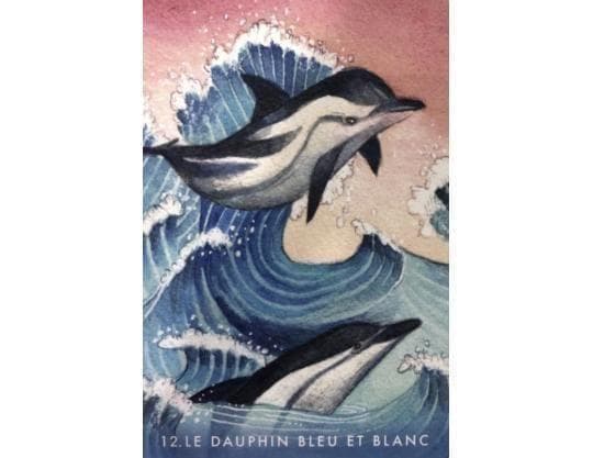 正規品オラクルカード】水彩画の美麗イラスト✨イルカやクジラに会える