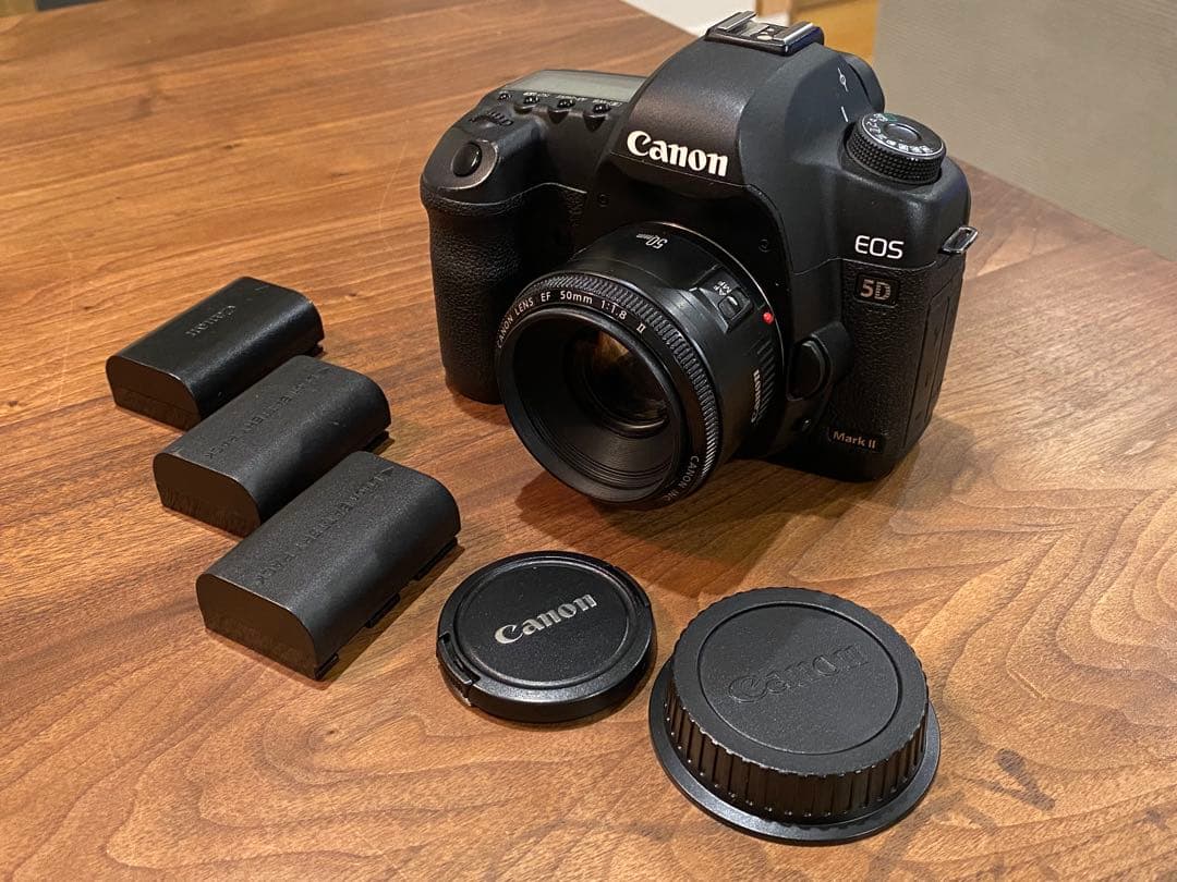 Canon EOS 5D markⅡデジタル一眼　EF50㍉　1:1.8 動作品 Canon EOS 5D markⅡデジタル一眼 EF50㍉ 1:1.8 動作品 キヤノン、フル
