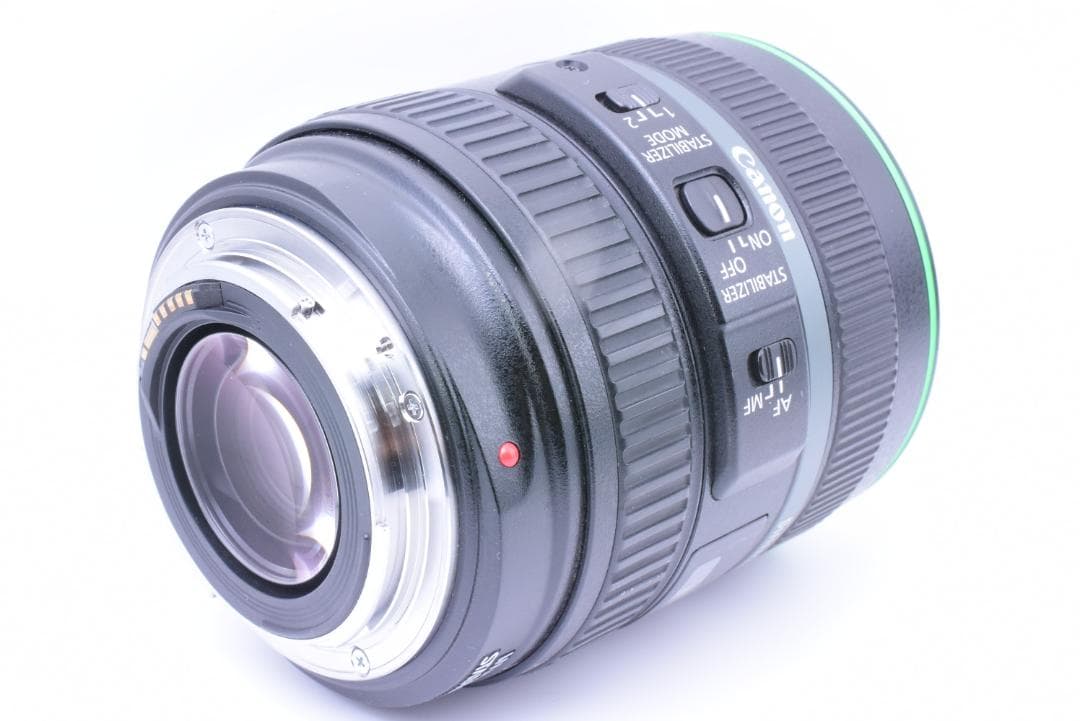 手振補正❄キヤノン EF 70-300mm F4.5-5.6 DO IS USM