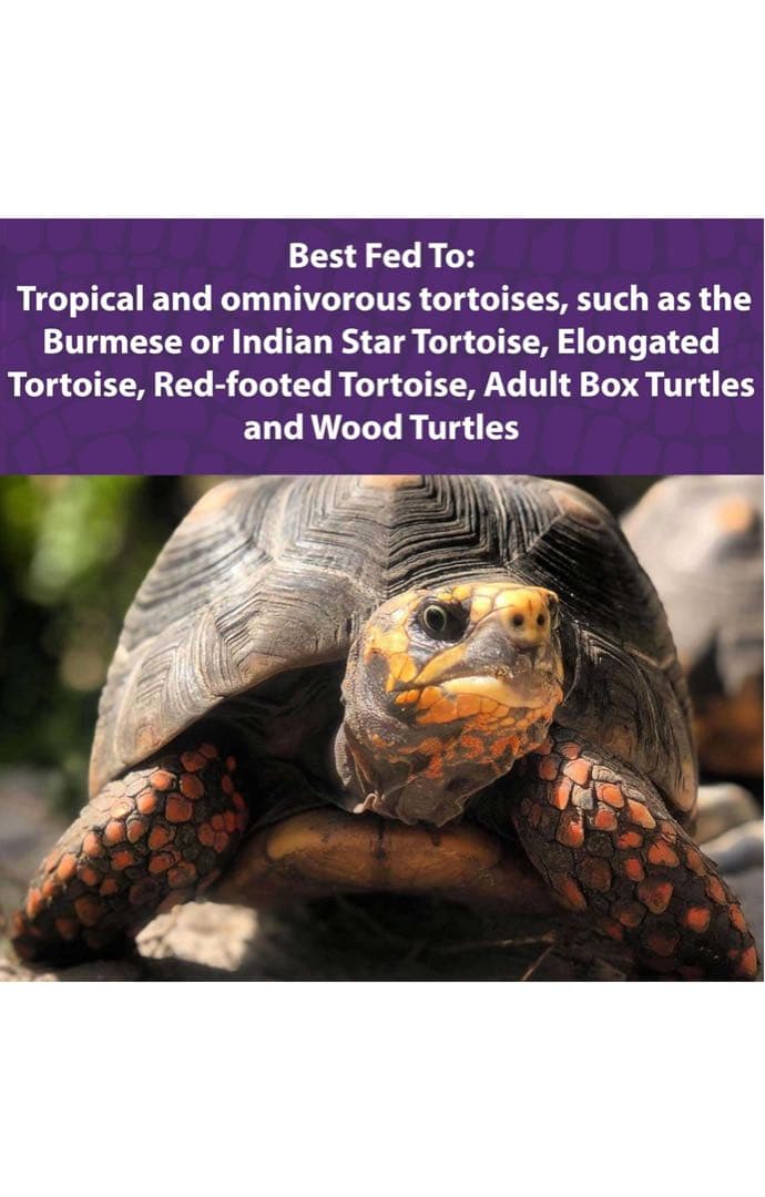 Mazuri トータスダイエット 11.34Kg 5M21