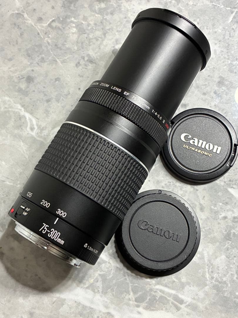 ⭐️美品⭐️ Canon EF 75-300mm F/4-5.6 III USM