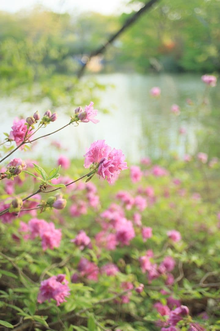 《希少》TAMRON SP 24-48mm F3.5-3.8 13A【光学美品】