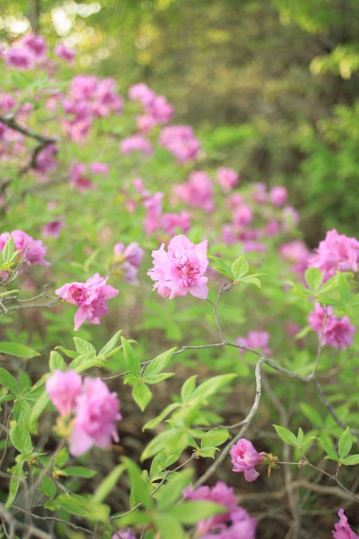 《希少》TAMRON SP 24-48mm F3.5-3.8 13A【光学美品】