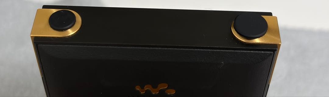 SONY NW-ZX707 ウォークマン ハイレゾ対応 microSD ケース - メルカリ