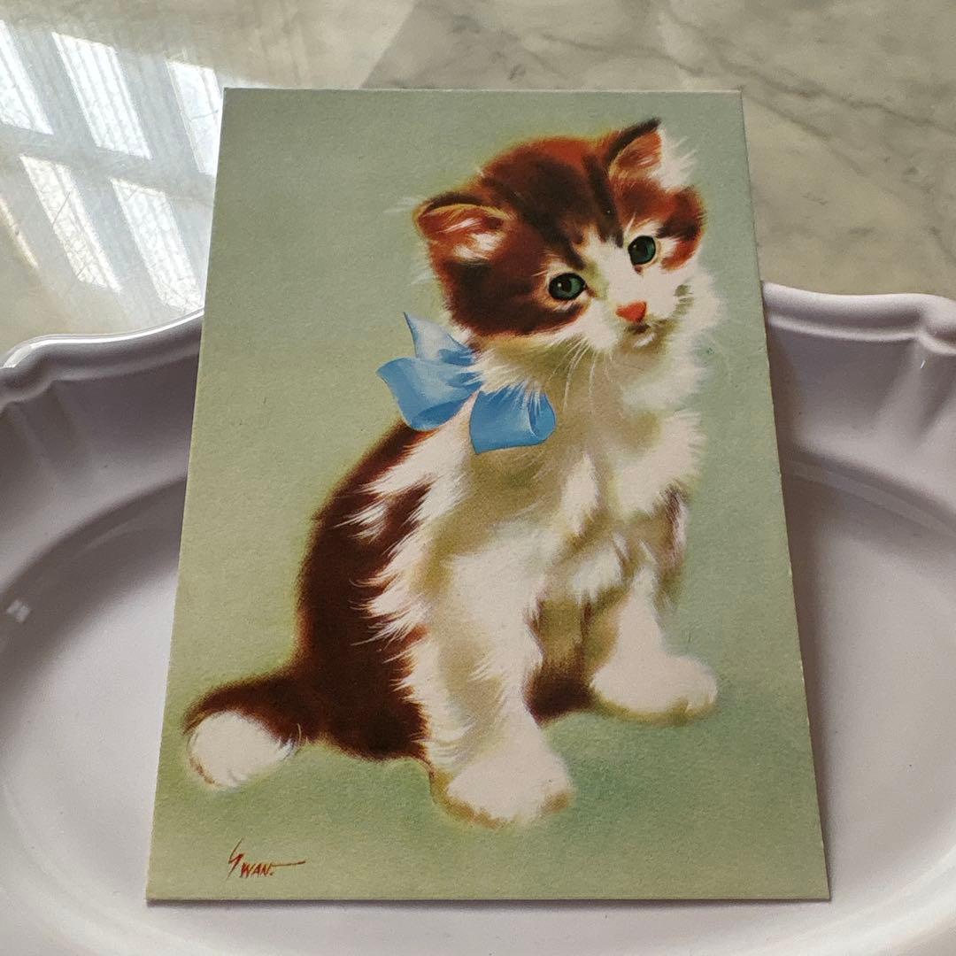 フランス ヴィンテージ ポストカード テディベア et ネコちゃん - メルカリ