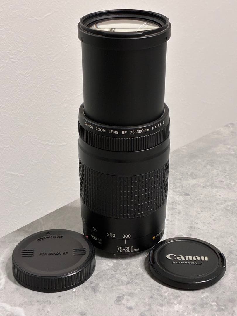 ⭐️美品⭐️キャノン Canon EF 75-300mm F/4-5.6 II 望遠
