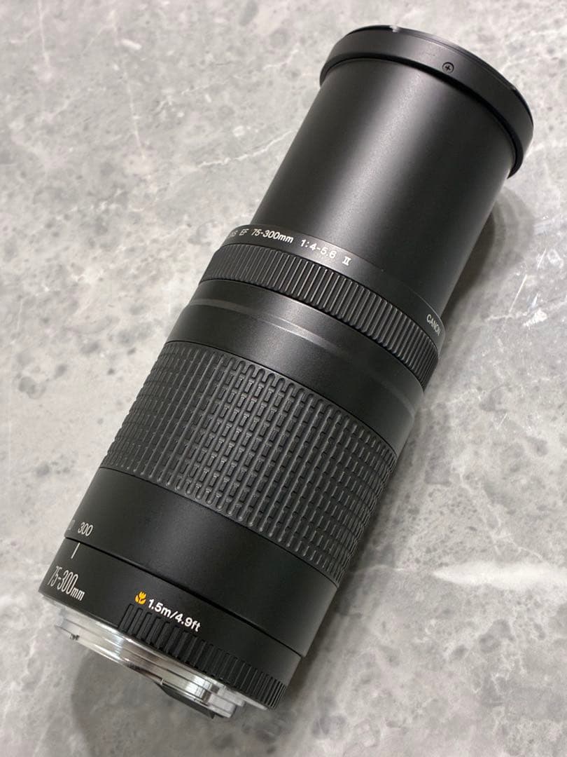 ⭐️美品⭐️キャノン Canon EF 75-300mm F/4-5.6 II 望遠
