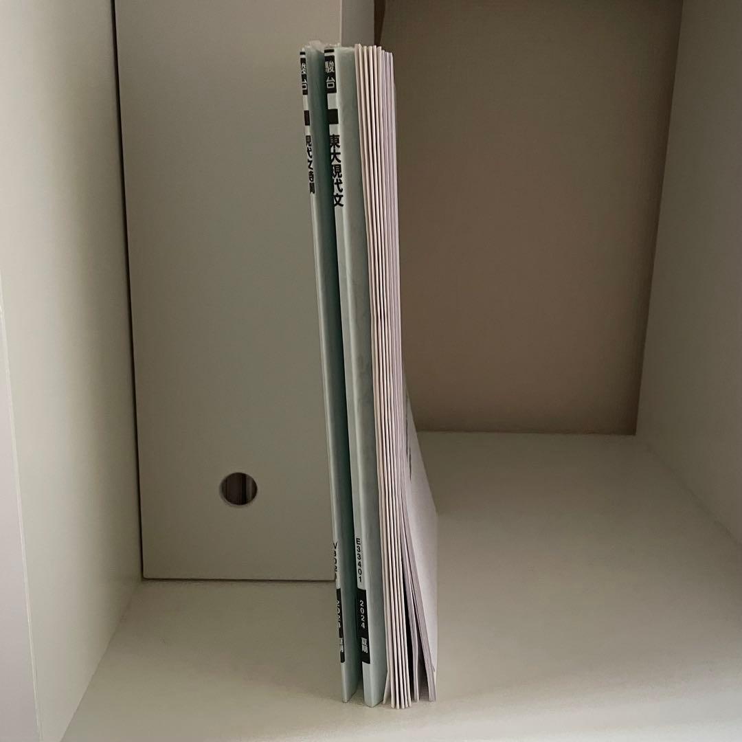 駿台 東大現代文 現代文特講 2024/林修・中野芳樹 解答集 東大特進 林修・中野芳樹 東大現代文 解答例 - メルカリ