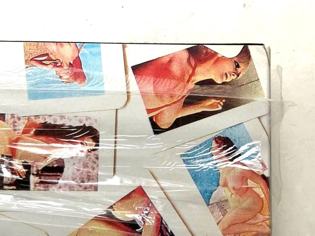 Seditionaries セディショナリーズ写真集　UNDERCOVER