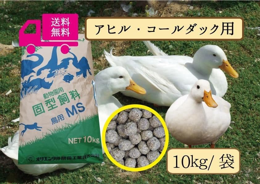 送料無料【アヒル、コールダック用飼料】 10kg 送料無料【アヒル