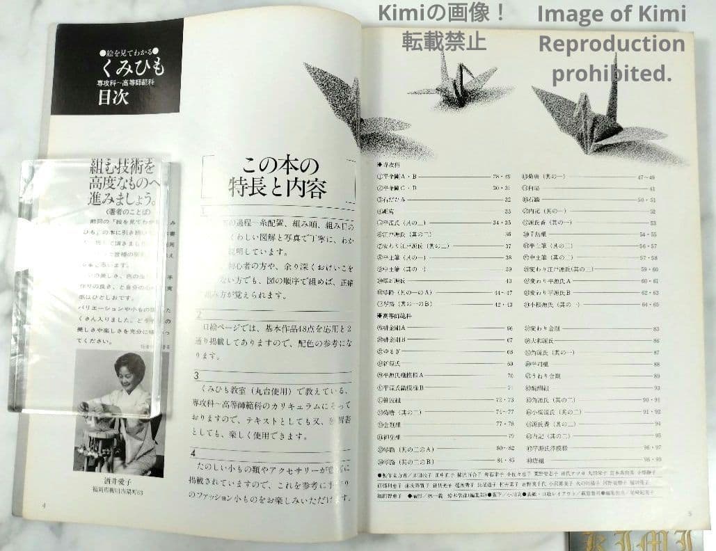 絵を見てわかる くみひも 専攻科 高等師範科課程 教室 本 1978 酒井