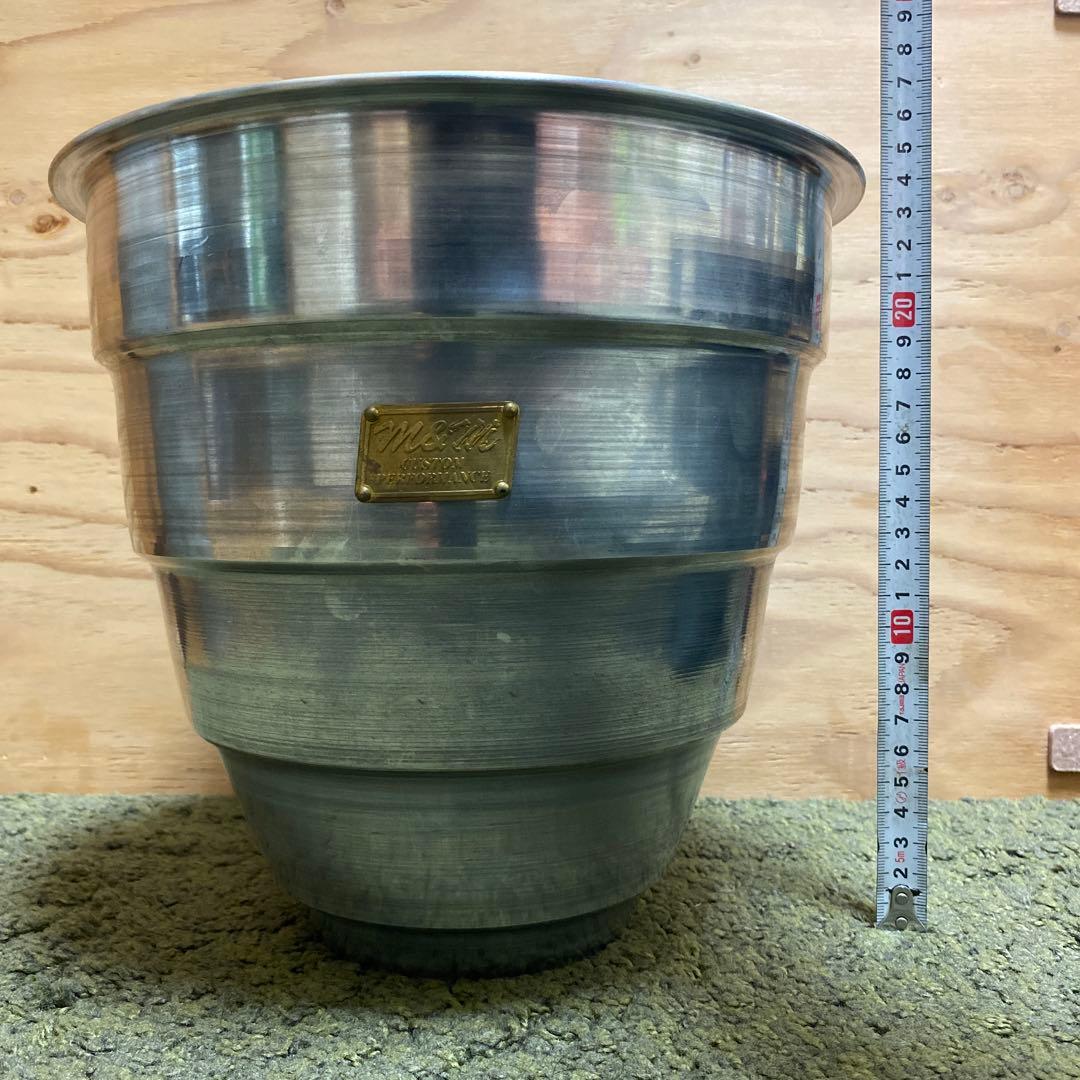 m&m x DAYZ Plant POT｜TYPE 1 Costa Farms Zz Plant House Plant in 6-in Pot M-GZZ-S-GMC-01-LW at