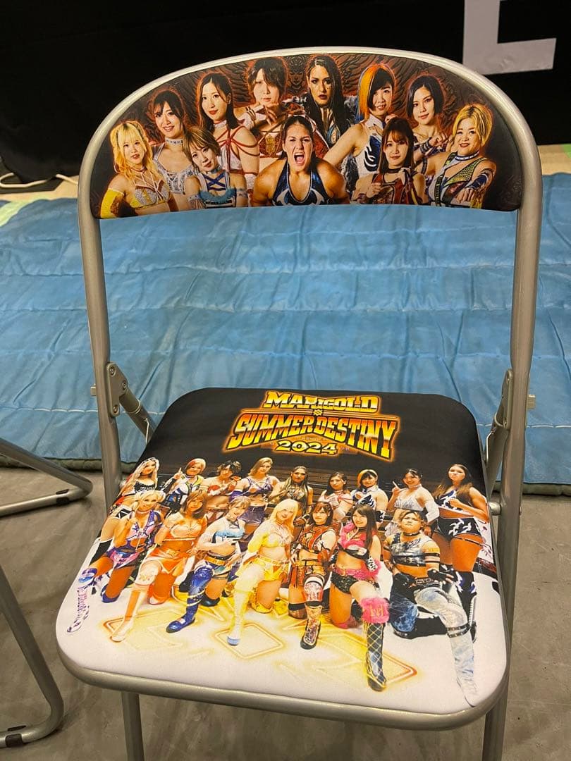 女子プロレス　マリーゴールド　両国　ロイヤルシート　特典　椅子 WK18】2024 年1月4日東京ドーム「ロイヤルシート」の特典は“特製パイプ