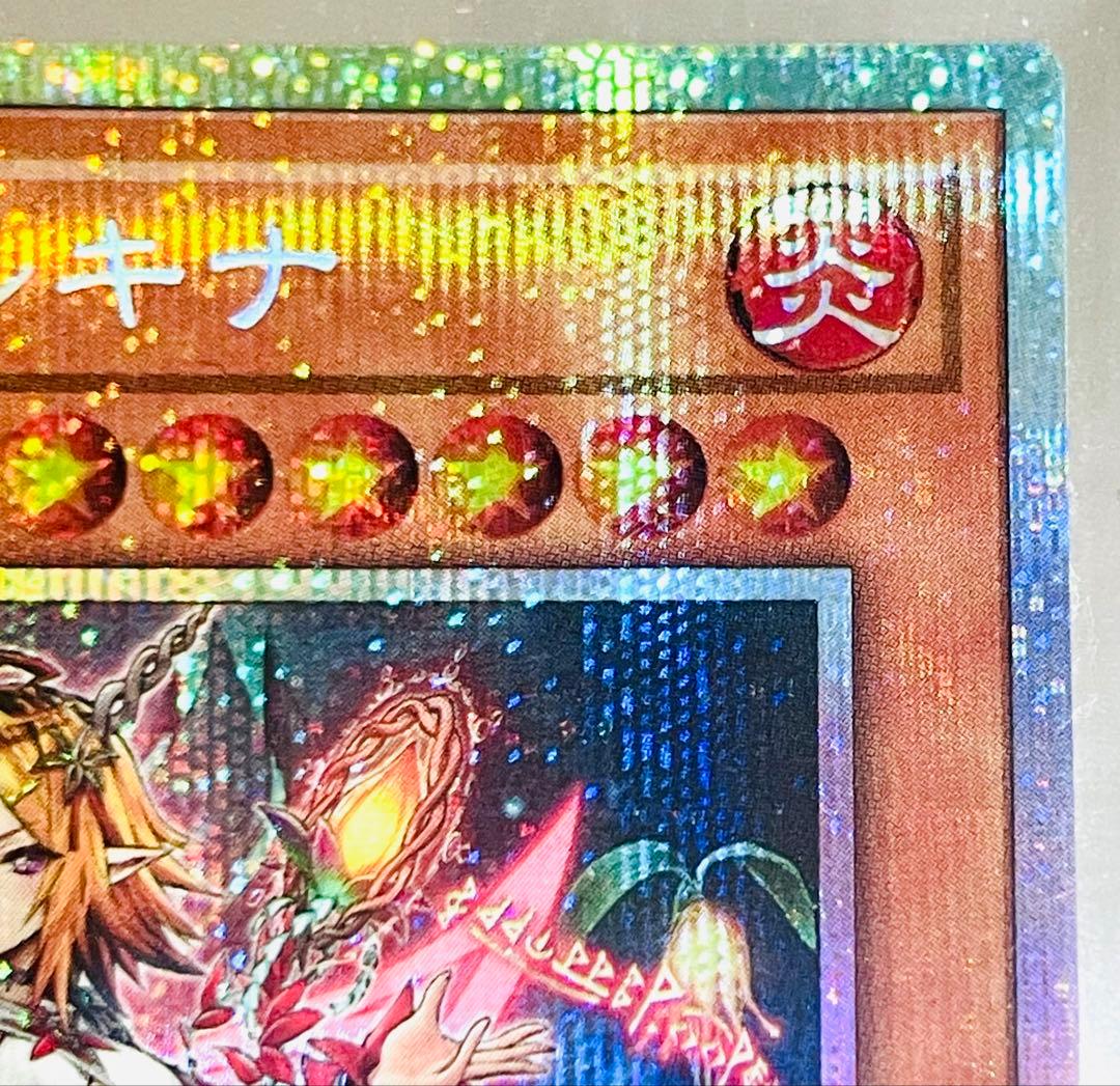 遊戯王 耀聖の花詩 エルフェンノーツ ルキナ プリズマティック