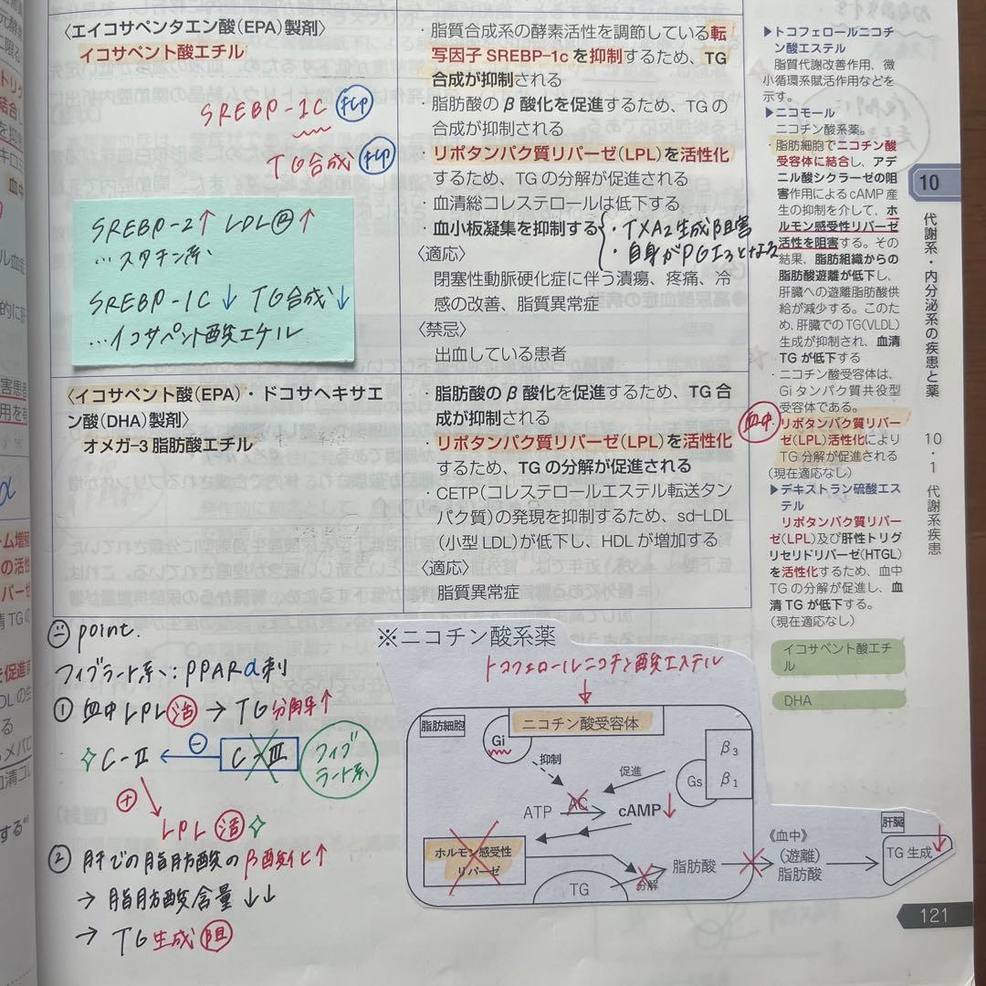 第111回薬剤師国家試験 青本 9冊セット - メルカリ