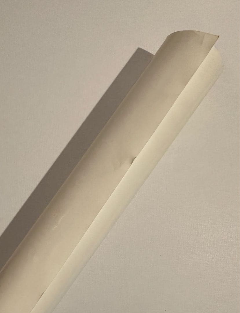 銀杏BOYZ 『君と僕の第三次世界大戦的恋愛革命』 ポスター 公式品 峯田