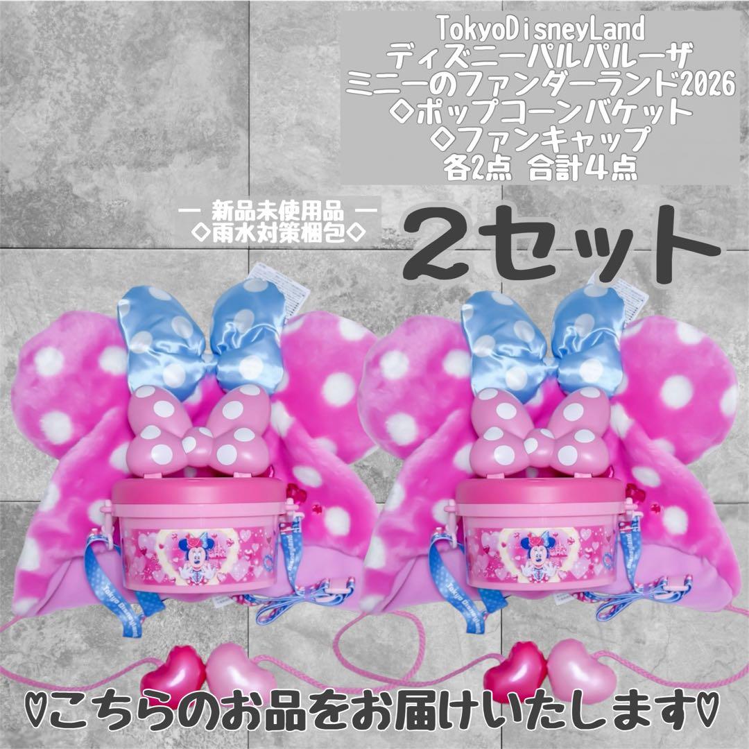ディズニー ミニー パルパルーザ ポップコーンバケット ファンキャップ