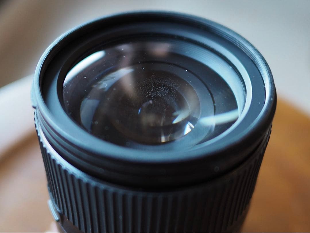 TAMRON 16-300mm F/3.5-6.3 PZD DiⅡ B016