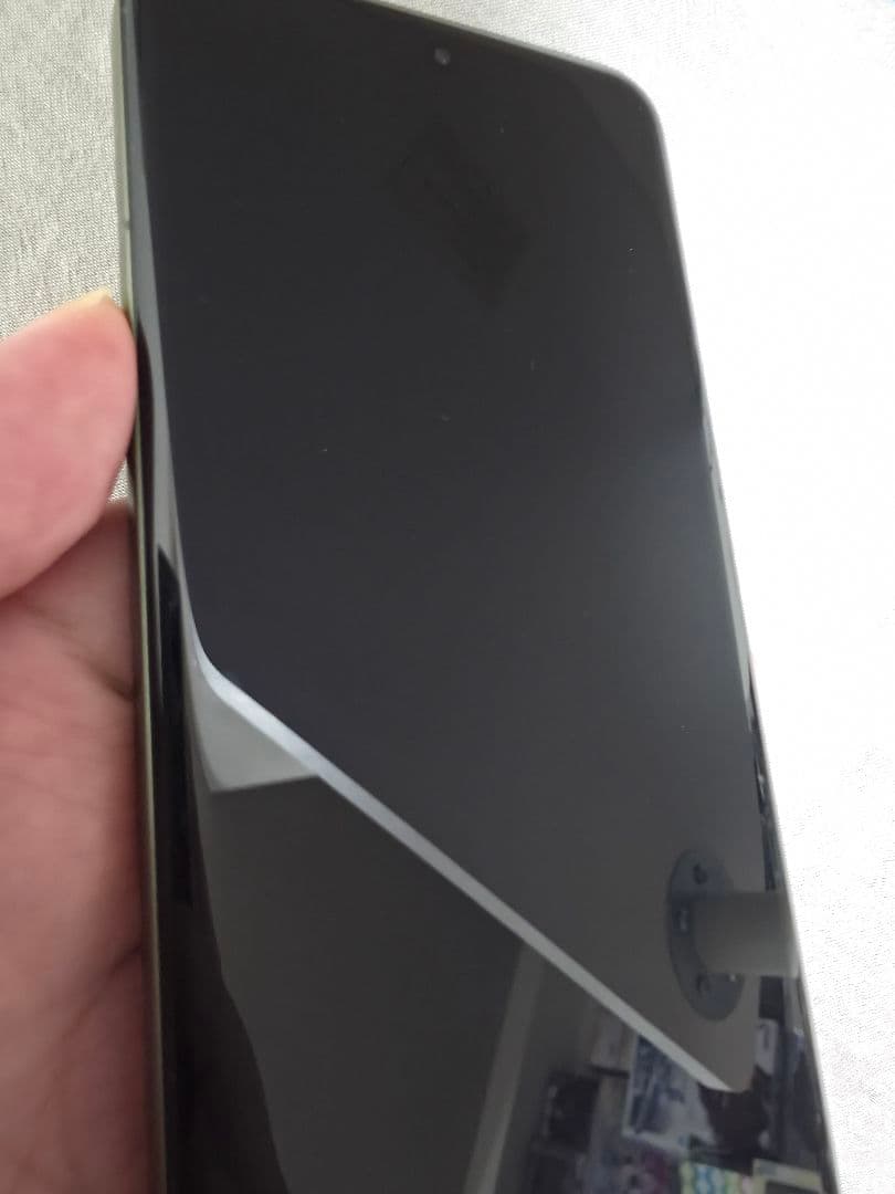 Xiaomi 15 Pro 中国版 12 256GB 専用結川 亜紀 グローバル版 物理Dual