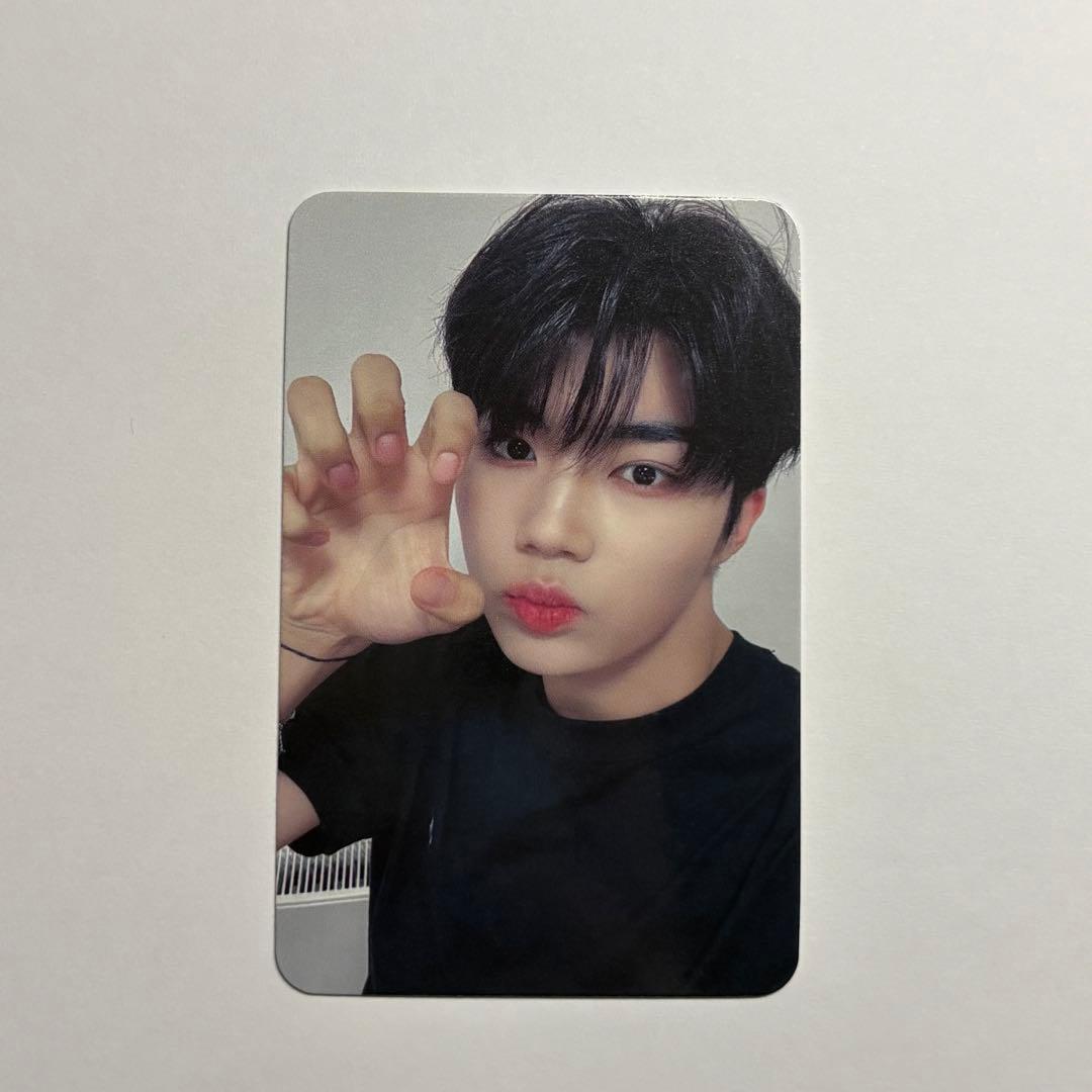 zb1 melting point applemusic ゴヌク トレカ - メルカリ