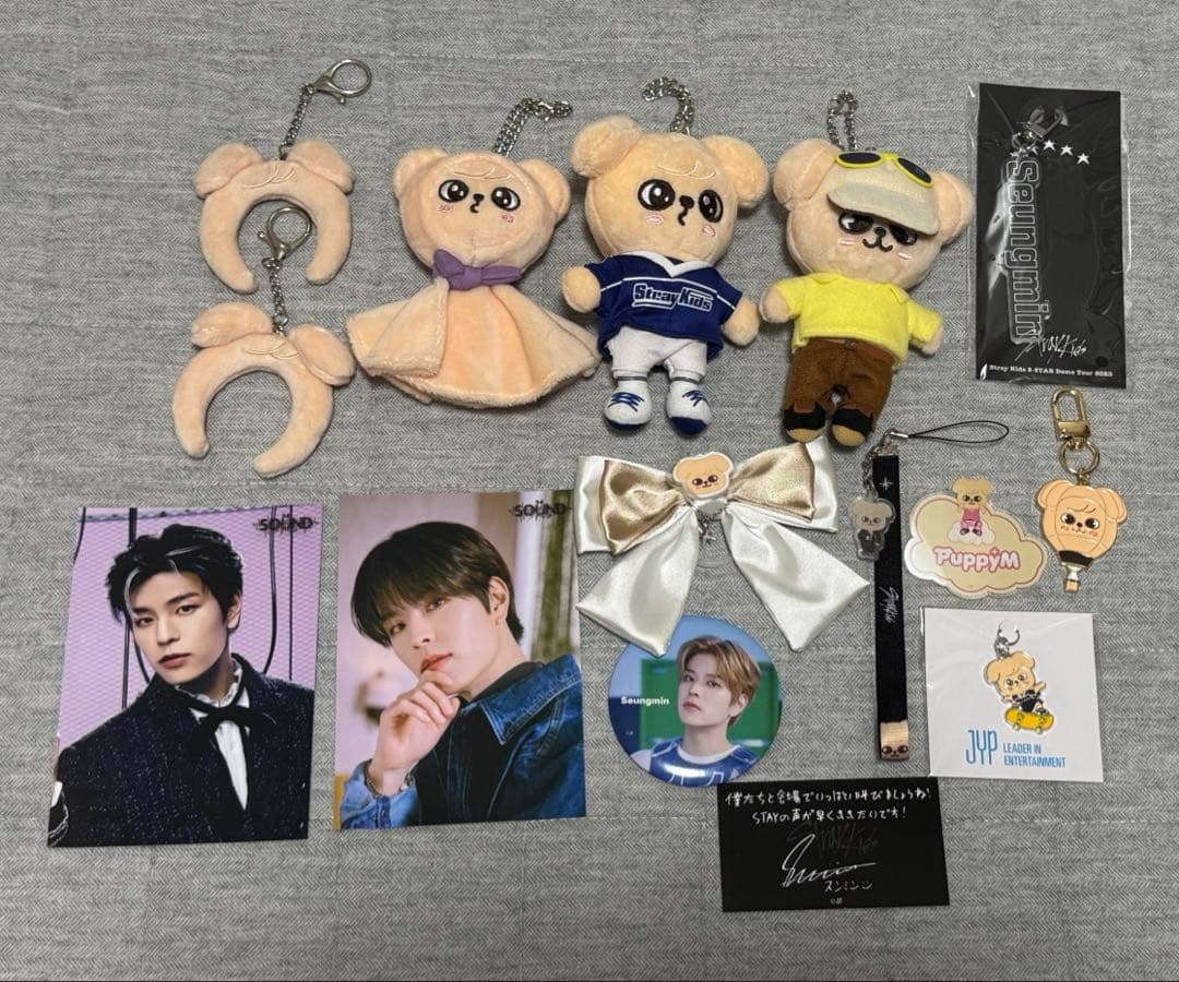 Stray Kids スキズ スンミン パピーム まとめ売り セット - メルカリ