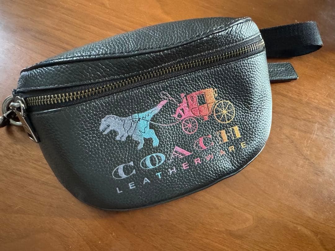 COACH レザー ボディバッグ　レキシー 公式】COACH – コーチ | レキシー バッグ