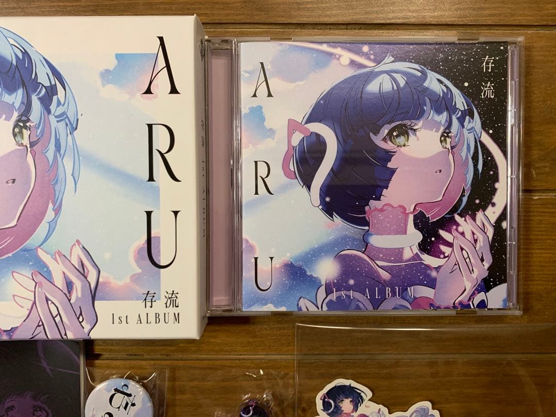 【存流】1st Album「ARU」　未使用に近い