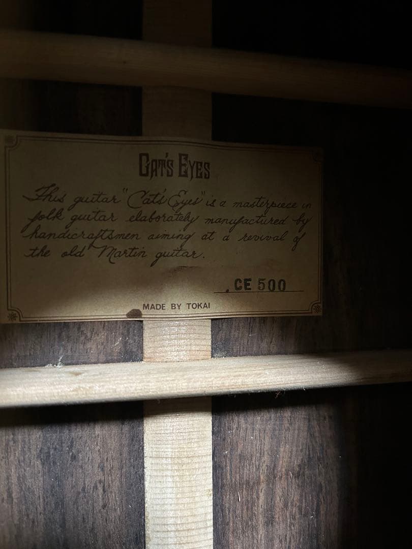 Cat's Eyes CE-500 大文字ロゴ アコースティックギター - ギター送料