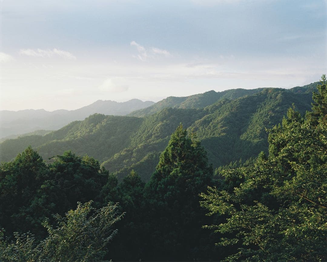 作例有】Plaubel Makina 67 1年前にOH オーバーホール済 - メルカリ