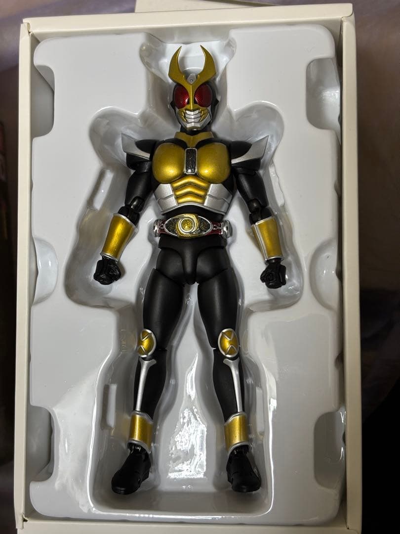 S.H.Figuarts 真骨彫製法 仮面ライダーアギト グランドフォーム