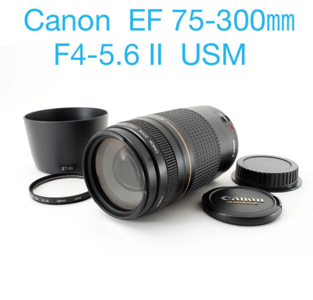 人気の望遠レンズ/スポーツ/イベント/Canon EF75-300㎜ Amazon.co.jp: Canon EFレンズ EF75-300mm F4-5.6 IIIズームレンズ