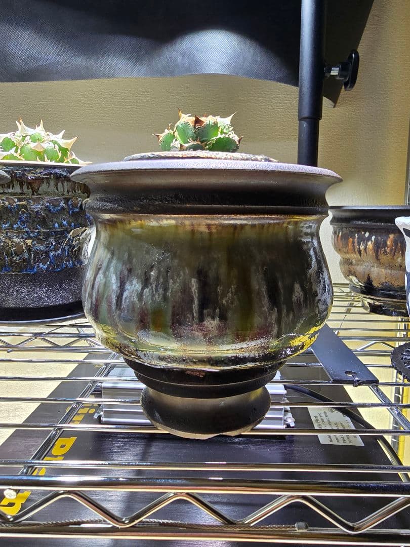 カタチ製作所 Clutch Bouquet 未使用 - メルカリ