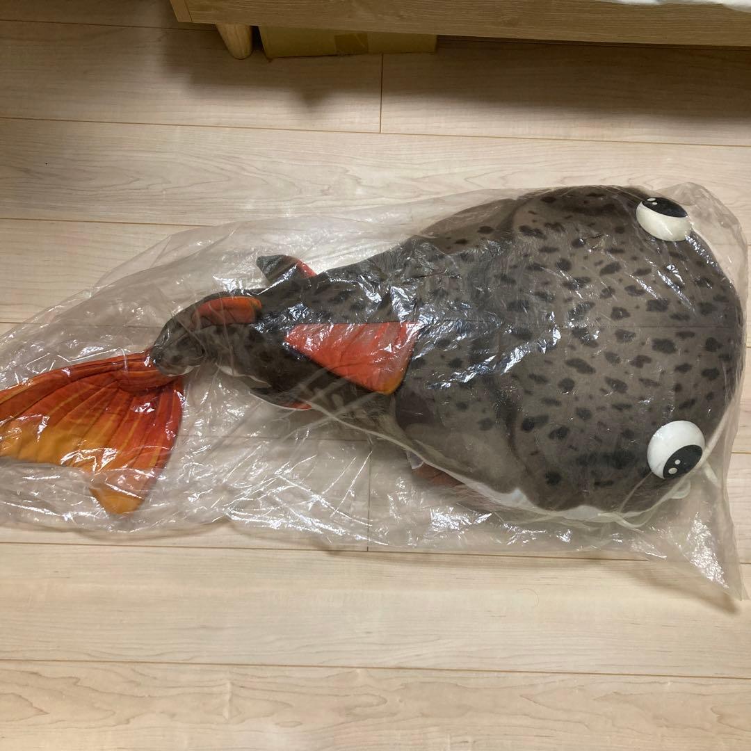 キョーリン　当選　ぬいぐるみ　レッドテールキャット キョーリン 当選 ぬいぐるみ レッドテールキャット 【公式通販】