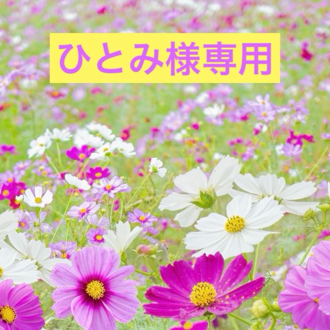 デュアルレチノプラス1本 デュアルレチノプラス ガウディスキン (GAUDISKIN®) – クレストスキン