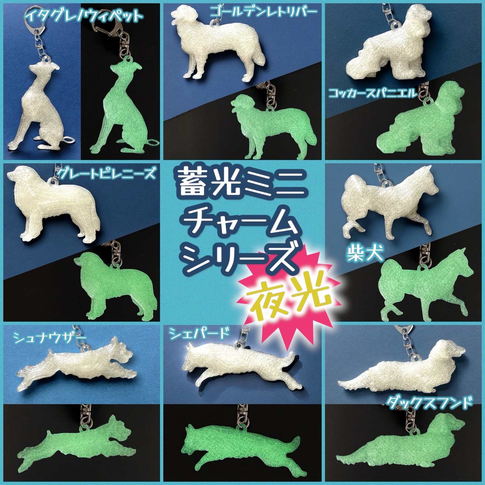 SALE中】蓄光（夜光）キーホルダー 8犬種 半透明蓄光樹脂製 - 樹脂
