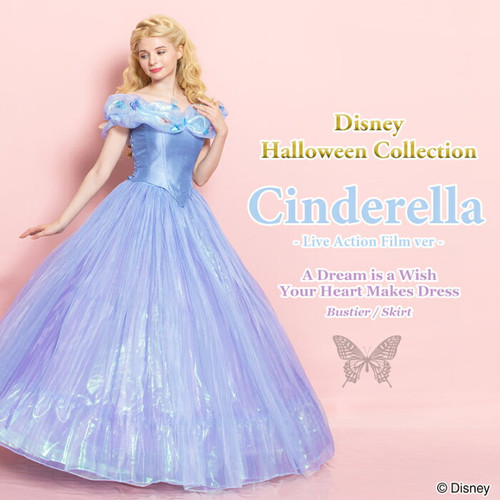 Secret Honey Disney Princess Cinderella a dream is a wish your