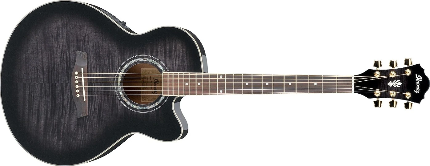 AEL20 | Ibanez Wiki | Fandom