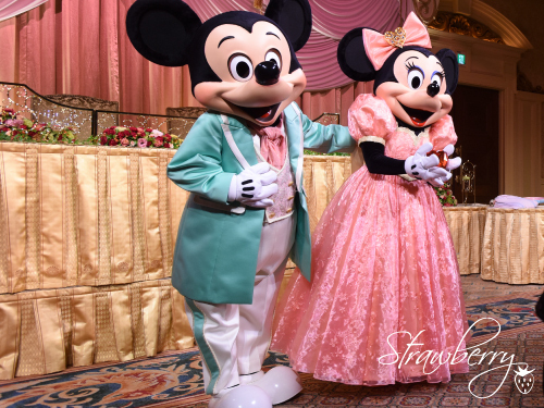 憧れのディズニー・フェアリーテイル・ウェディング♡♡どんな違いが