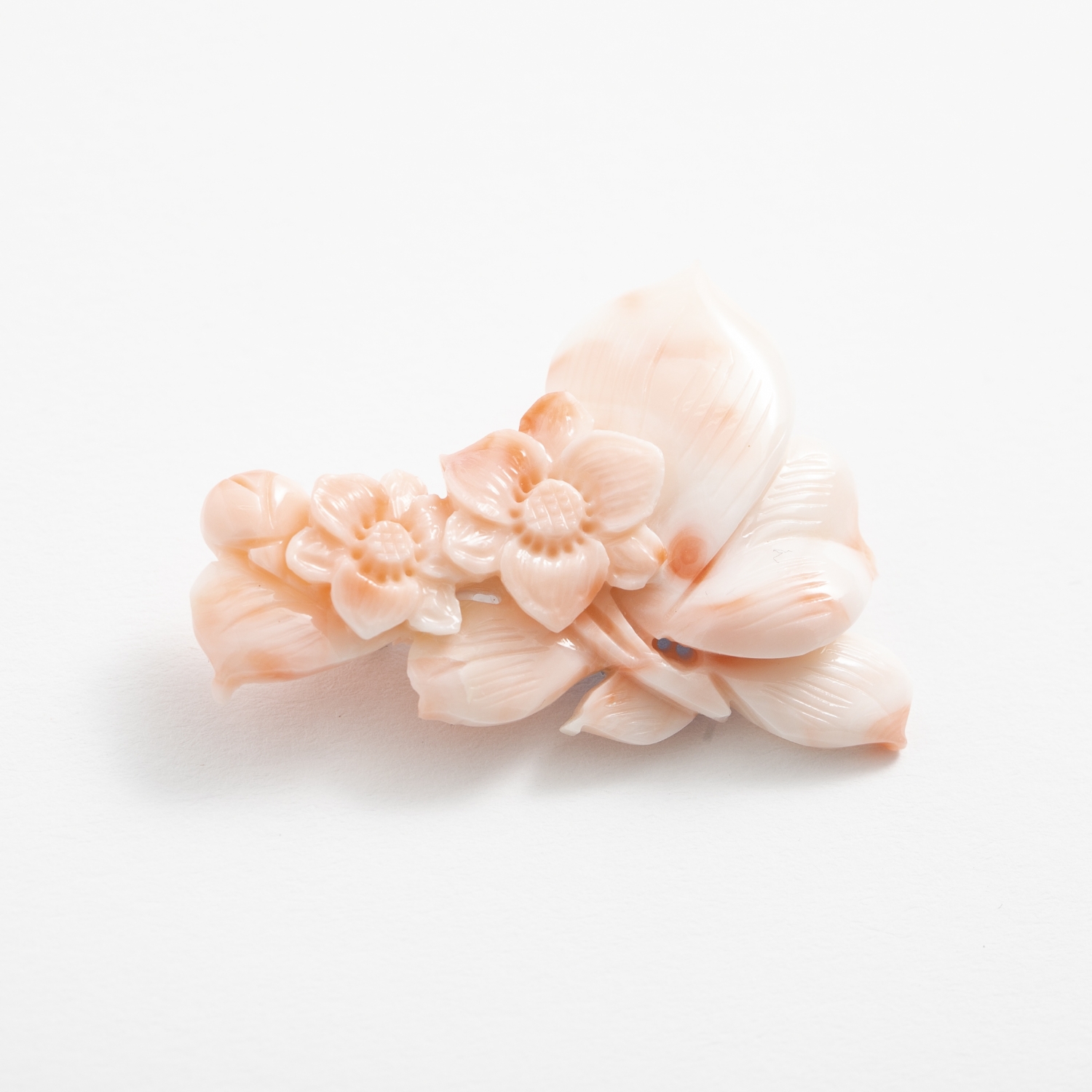 高知の珊瑚ブローチ小 椿A -【当店限定】すべて1点もの、高知から届く