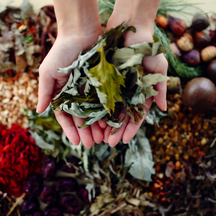 和漢植物発酵液（酵素ドリンク） Herbs to FLORA 2本セット -80種の