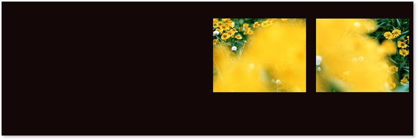 Étude Risaku Suzuki (鈴木理策) – SUPER LABO