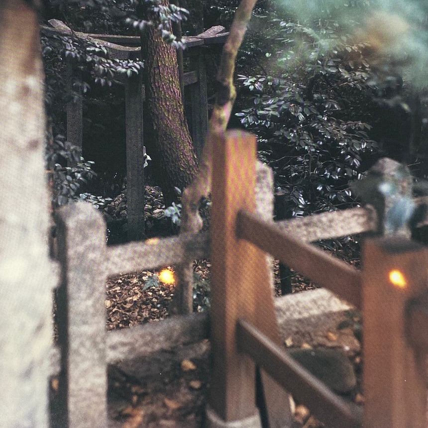 Torii Risaku Suzuki (鈴木理策) – SUPER LABO